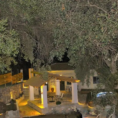 Amfiliki Kavalleraina